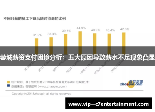 蓉城薪资支付困境分析：五大原因导致薪水不足现象凸显