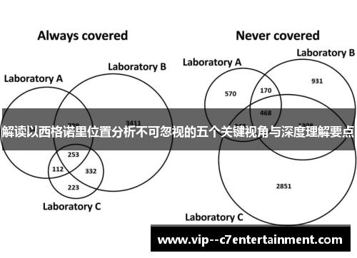 解读以西格诺里位置分析不可忽视的五个关键视角与深度理解要点