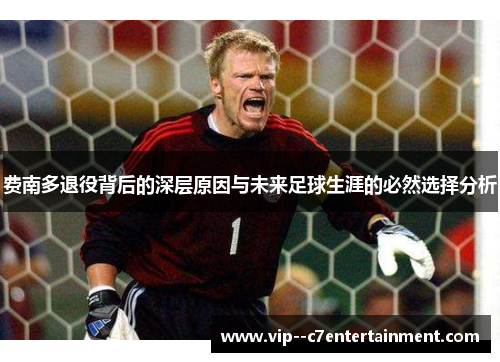 费南多退役背后的深层原因与未来足球生涯的必然选择分析