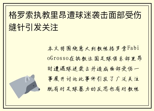 格罗索执教里昂遭球迷袭击面部受伤缝针引发关注